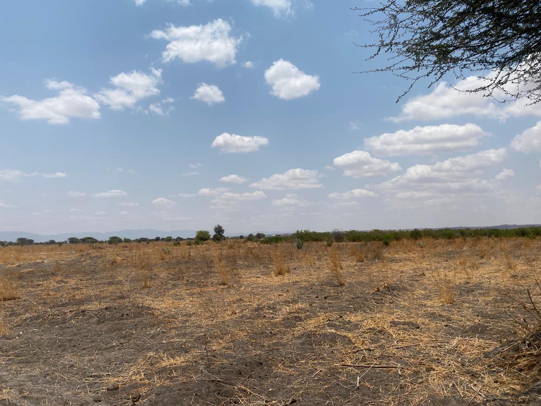 Mahomanyika