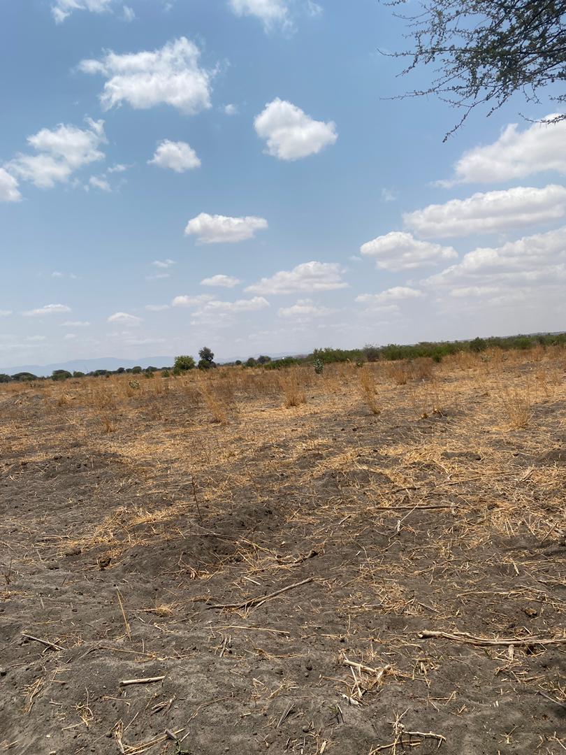 Mahomanyika